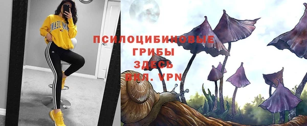 синтетический гашиш Беломорск