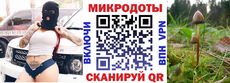 Псилоцибиновые грибы Cubensis  Гудермес 