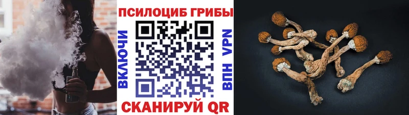 Псилоцибиновые грибы Psilocybe Гудермес
