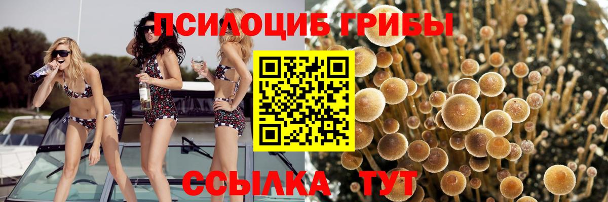Галлюциногенные грибы мухоморы  Вход с VPN  Гудермес 
